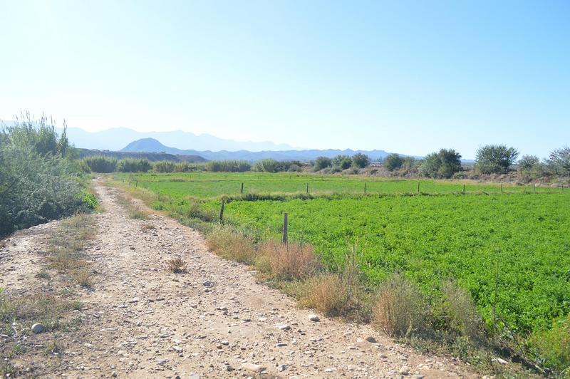 3 Bedroom Property for Sale in Calitzdorp Western Cape